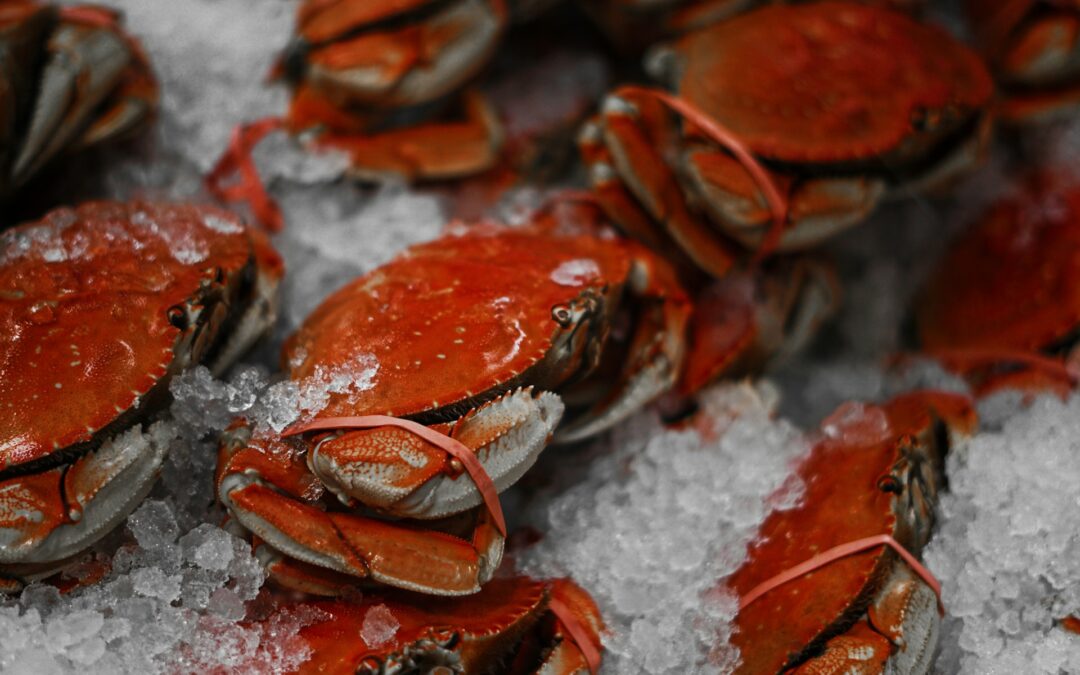How Long Does Cooked Shrimp Last in the Fridge? Your Ultimate Guide to Safe Storage
