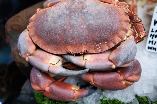 Indulge in the Decadence: Mastering the Art of Garlic Butter Lump Crab Meat