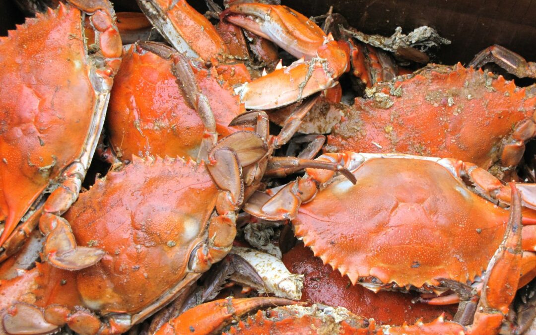 Heating Up Big T Crab Dip: A Comprehensive Guide to Delicious Reheating