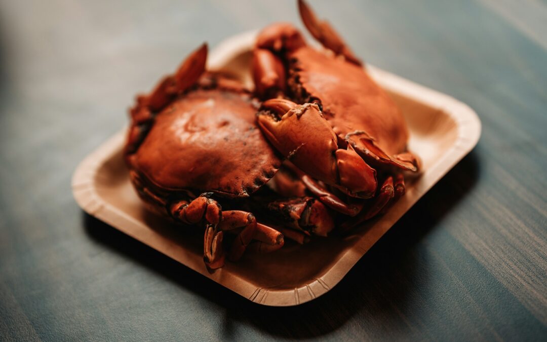 Where to Buy Dungeness Crab Online: Your Ultimate Guide to Delicious Delivery