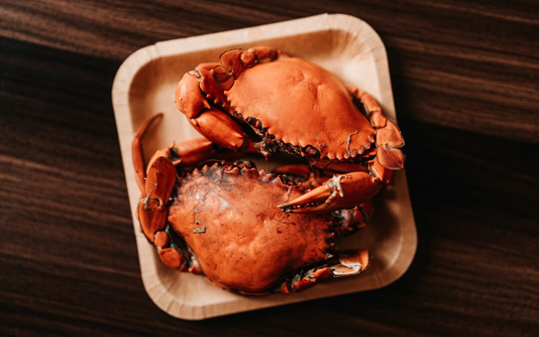 Conquer TikTok with the Best Cucumber Imitation Crab Salad Recipe