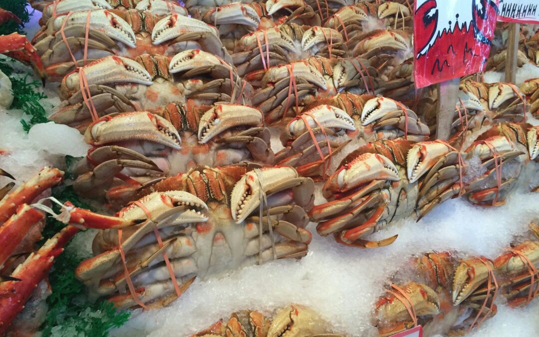 Land Your First Catch: A Guide to Entry-Level Crab Fishing Jobs