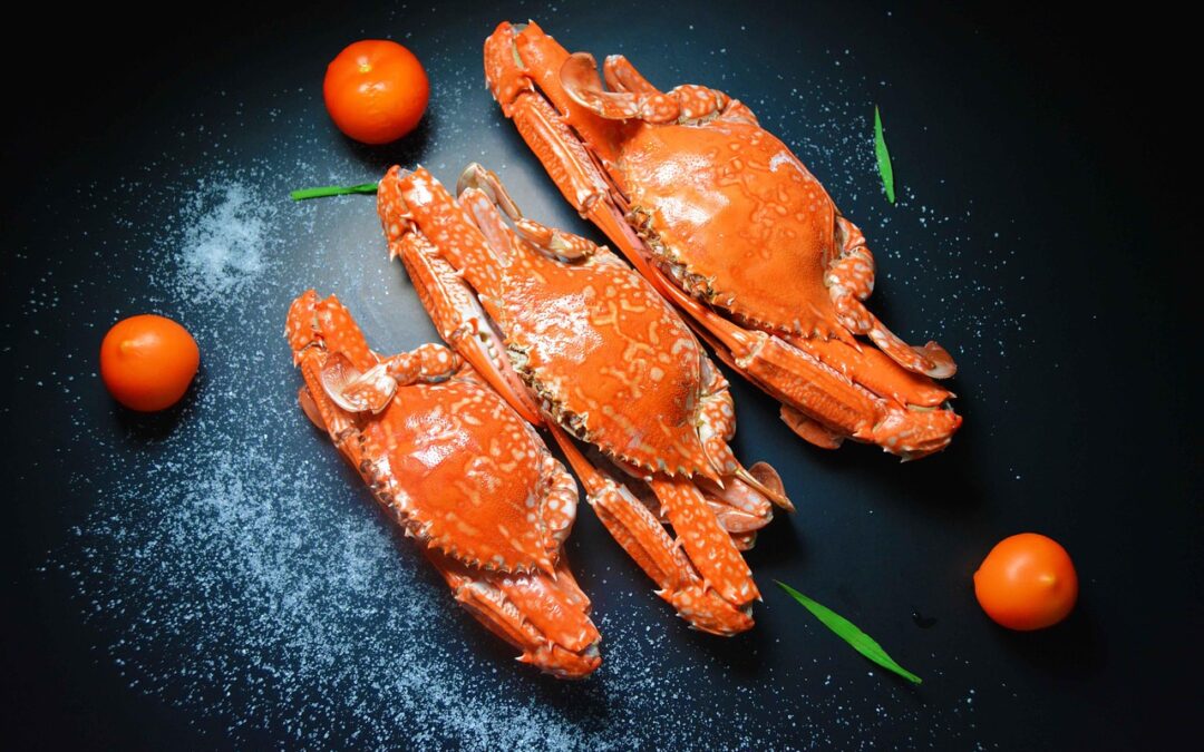 The Ultimate Cucumber Crab Salad Recipe with Mayonnaise: A Refreshing Summer Classic