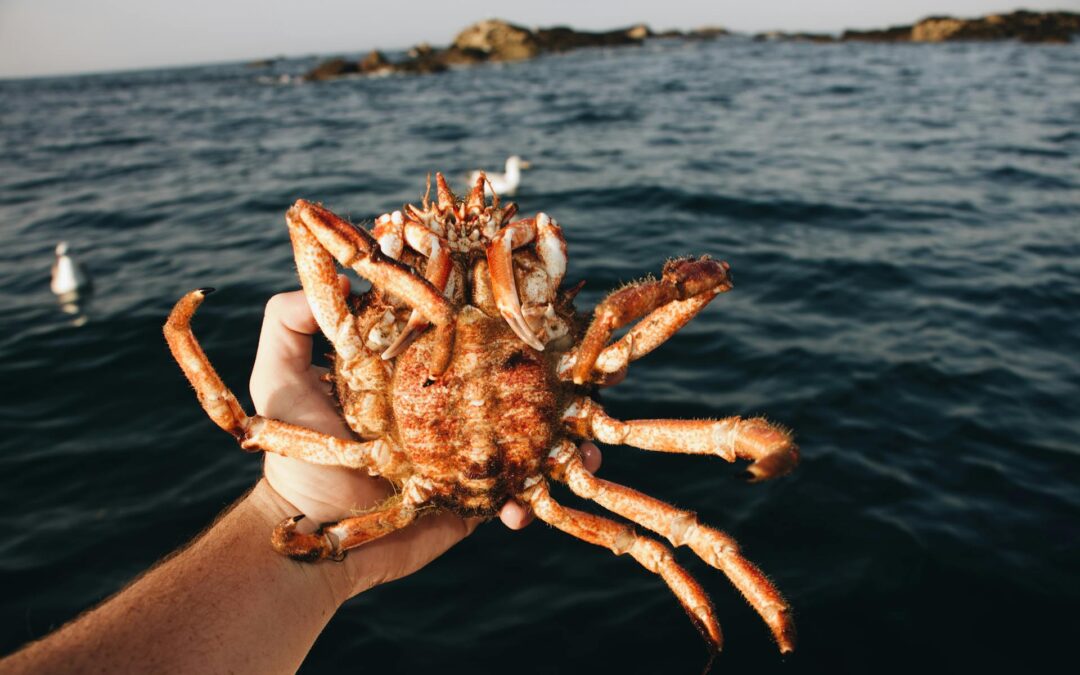 How Long Does Crab Salad Last in the Fridge? A Comprehensive Guide